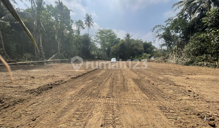 Strategic SHM Land in Sleman Regency Government Near SCH Mall