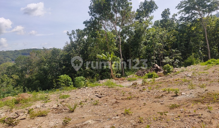 Tanah SHM Komersial Dekat Pertokoan Pasar Pleret