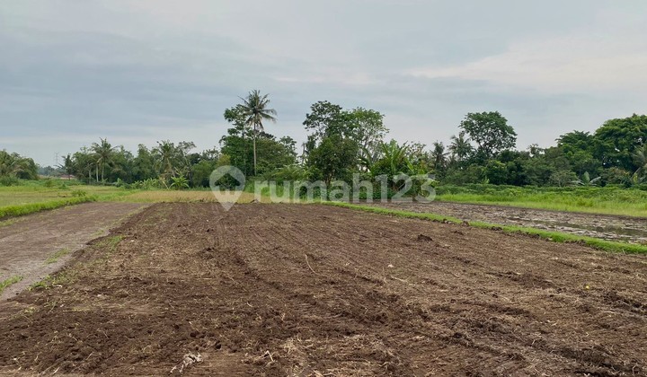 Premium SHM Land on the Side of North Pandowoharjo Road