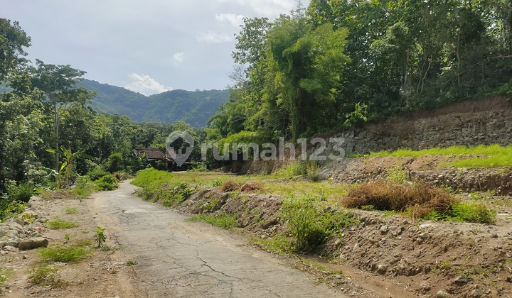 Tanah SHM Strategis di Pleret Deket Hutan Pinus, Lokasi Oke!
