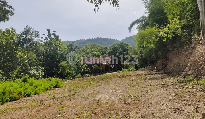 Tanah SHM Prospektif Dekat Pasar Tradisional Pleret Tanah SHM Prospektif Dekat Pasar Tradisional Pleret