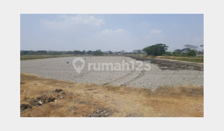 Tanah Lokasi Strategis & Ciamiiiik di Raya Bungah, Gresik