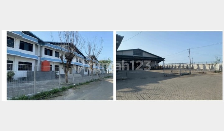 Special Edition, Bonded Zone Special Warehouse, Central Java 1