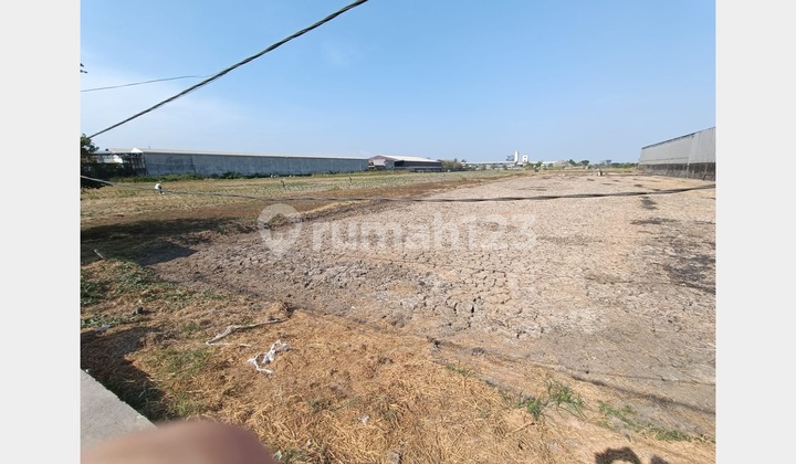 Tanah Lokasi Strategis dan Ciamiiiik di Raya Wringin Anom