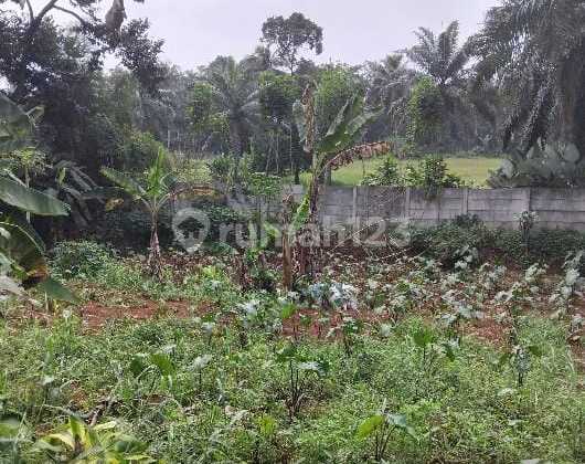 Land for Sale at Affordable Price Near Parung Main Road Land for Sale at Affordable Price Near Parung Main Road