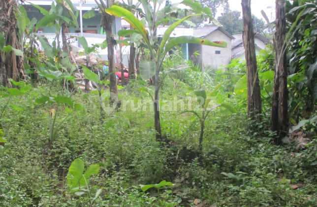 Land for Sale at an Affordable Price in Cigombong with SHM Land for Sale at an Affordable Price in Cigombong with SHM