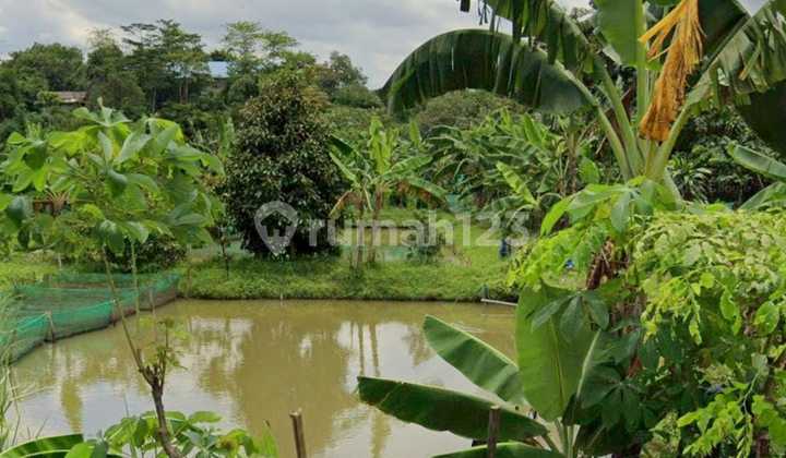 Dijual Cepat Tanah di Parung Bogor SHM Lokasi Nyaman