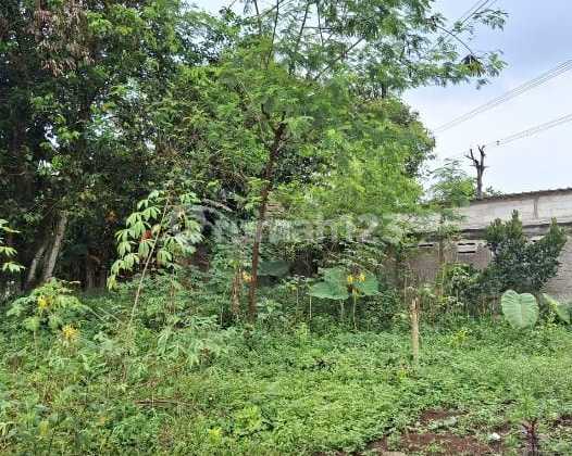 Dijual Harga Murah Tanah di Cileungsi SHM Dijual Harga Murah Tanah di Cileungsi SHM