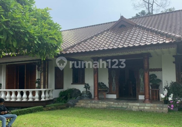 For Sale House Land Area 3693m2 Strategic Location in Megamendung Bogor For Sale House Land Area 3693m2 Strategic Location in Megamendung Bogor