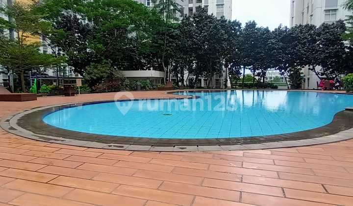 Disewakan Apartemen 2 Kamar Tidur Di Springlake Summarecon Bekasi  2