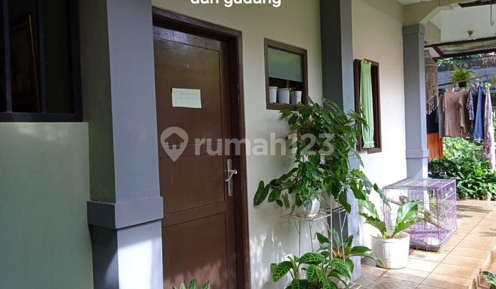 Rumah Dengan Halaman Belakang Dan Halaman Depan Luas Siap Huni Tanpa Banjir Di Kemang Raya Depok Jawa Barat  2