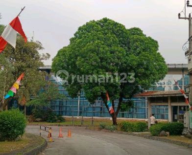 Pabrik Hoki Harga Menarik Cash Only Lokasi Di Gunung Putri Bogor Pabrik Hoki Harga Menarik Cash Only Lokasi Di Gunung Putri Bogor