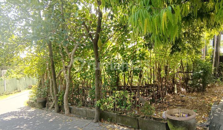 Tanah Premium Di Pinggir Jalan Raya Puputan Renon Denpasar. Shm Tanah Premium Di Pinggir Jalan Raya Puputan Renon Denpasar. Shm