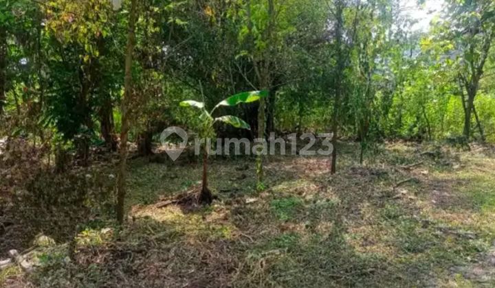 Tanah Pawiyatan Luhur Jatingaleh Semarang di Jatingaleh 2