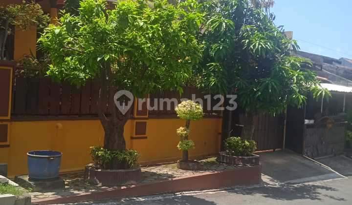 Rumah 2 Lantai Sendangmulyo Tembalang Semarangtimur 2