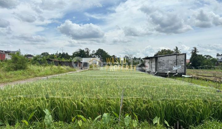 Tanah Strategis Dalam Ringroad Maguwo Potensial Usaha Tanah Strategis Dalam Ringroad Maguwo Potensial Usaha