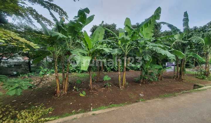 Land Near Depok City Center with Affordable Price Land Near Depok City Center with Affordable Price