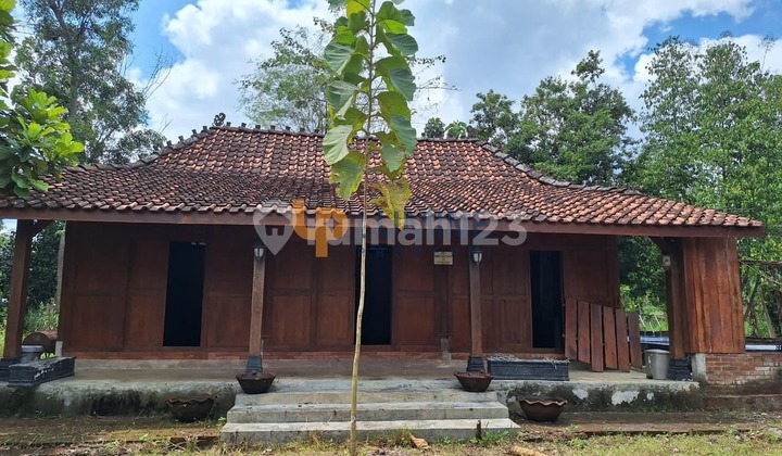  DIJUAL RUMAH JOGLO SHM 500 JUTAAN DEKAT BANDARA GADING DI PLAYEN GUNUNGKIDUL 