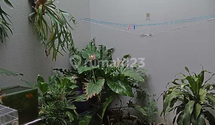 Jual Rumah di Cluster Flora Type Freya 2