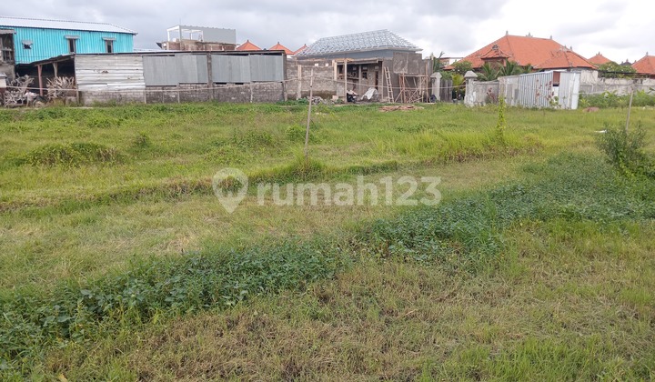 Disewakan tanah seluas 500 M2 lokasi di Kerobokan,sewa minim 5 tahun Disewakan tanah seluas 500 M2 lokasi di Kerobokan,sewa minim 5 tahun