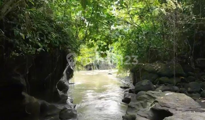 Prime Investment Land In Lodtunduh, Ubud - Strategic Bali Location