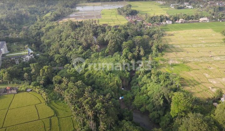 Prime Investment Land In Lodtunduh, Ubud - Strategic Bali Location