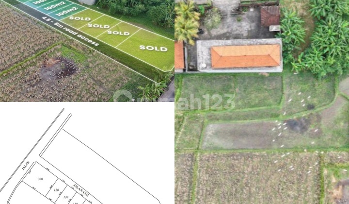 Hot Deal!!! Freehold Land Kavling In Kedungu Hot Deal!!! Freehold Land Kavling In Kedungu