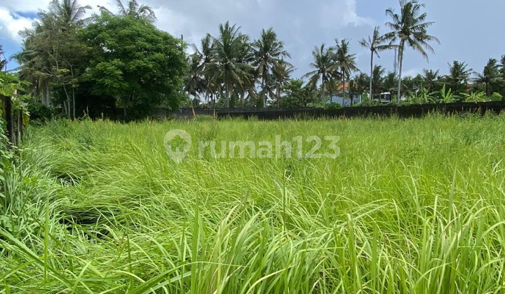 Good and Strategic Land 20 Are in Ubud Gianyar
