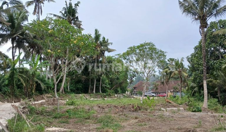 Land Plot with River and Rice Field View in Saba Pering Gianyar