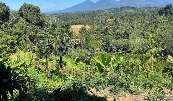 Tanah Zona Pemukiman di Buahan Kaja Payangan Ubud Gianyar