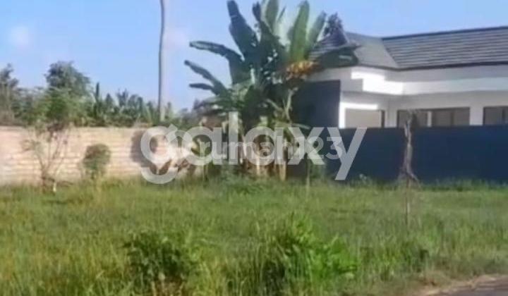 Tanah Pantai Lovina Temukus Banjar Buleleng, Bali