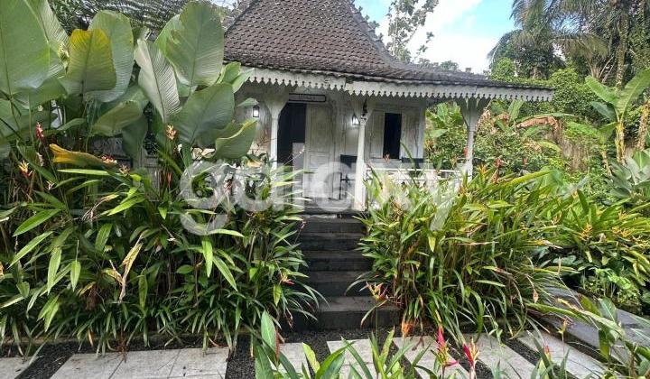 Villa Joglo di Puhu Payangan Gianyar, Bali