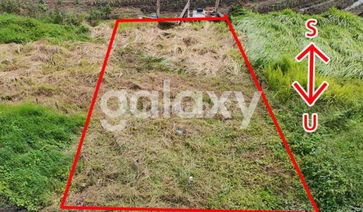 Rare Land Strategic Location Near Lolypop Preschool Bali