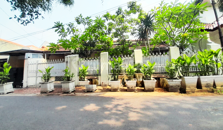 Special! Classic Luxury 240M² House in West Tebet: South-Facing, 3-Car Access & Super Strategic Location 2