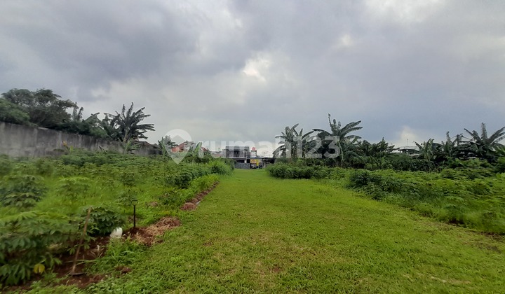 Dijual Tanah SHM Strategis Bebas Banjir Dekat Galaxy City Bekasi - 1 KM | Akses 3 Tol | Cocok Investasi & Cluster | Ngantong Dijual Tanah SHM Strategis Bebas Banjir Dekat Galaxy City Bekasi - 1 KM | Akses 3 Tol | Cocok Investasi & Cluster | Ngantong