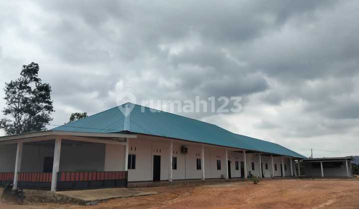 Dijual Cepat Tanah Kavling 7.000M2 Termasuk Bangunan di Sungai Lekop Bintan Dijual Cepat Tanah Kavling 7.000M2 Termasuk Bangunan di Sungai Lekop Bintan