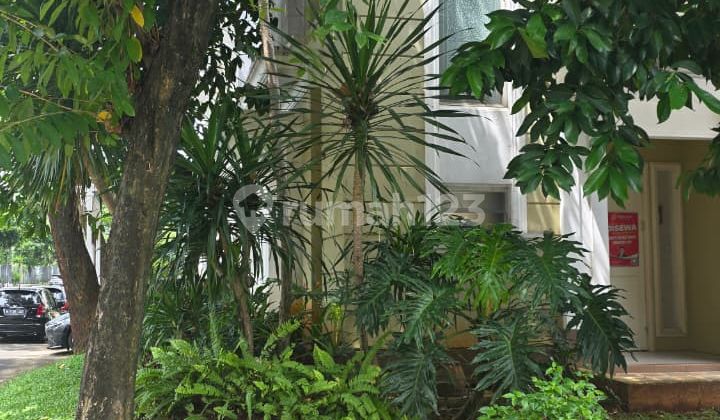 For Rent Flamingo Cluster in Gading Serpong 2