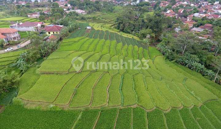Tanah Pertanian di Kebon Suuk Cicalengka Bandung