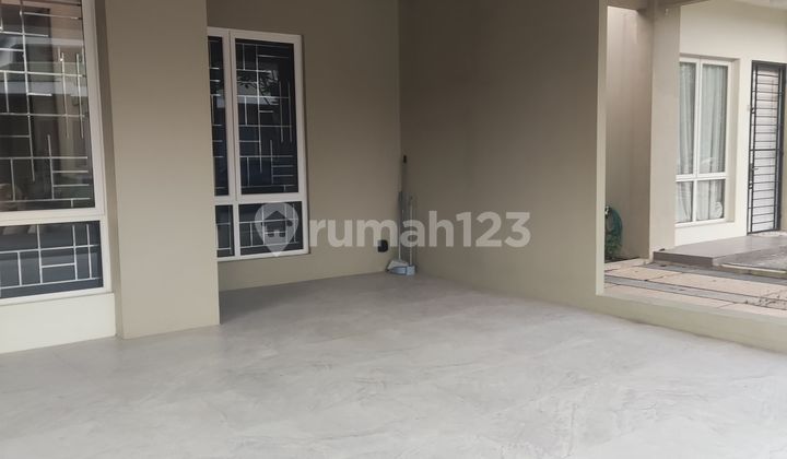 For Sale Cheap - Orchard Park Cluster Vitis 2