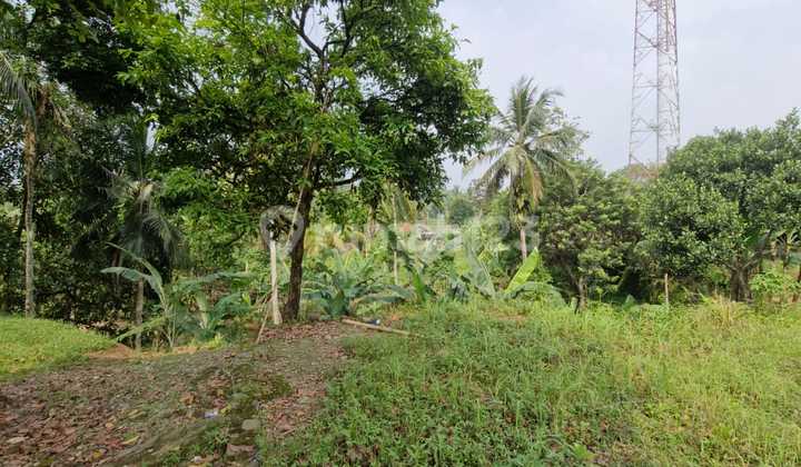 Land for Sale in Bogor Location, Suitable for Lodging, Villas, etc.