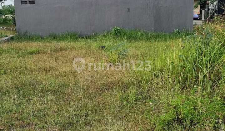 Dijual Cepat Tanah Taman Dayu Prigen Sebrang Warung Bakso Cak Pitung Dijual Cepat Tanah Taman Dayu Prigen Sebrang Warung Bakso Cak Pitung