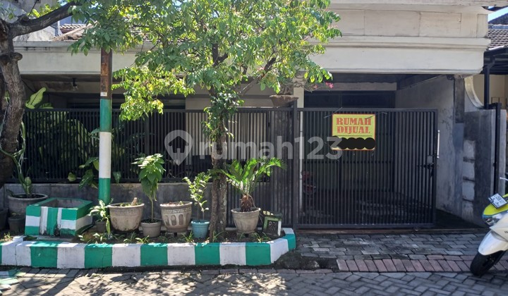 JUAL CEPAT! RUMAH HITUNG TANAH DI WIGUNA TENGAH GUNUNGANYAR JUAL CEPAT! RUMAH HITUNG TANAH DI WIGUNA TENGAH GUNUNGANYAR