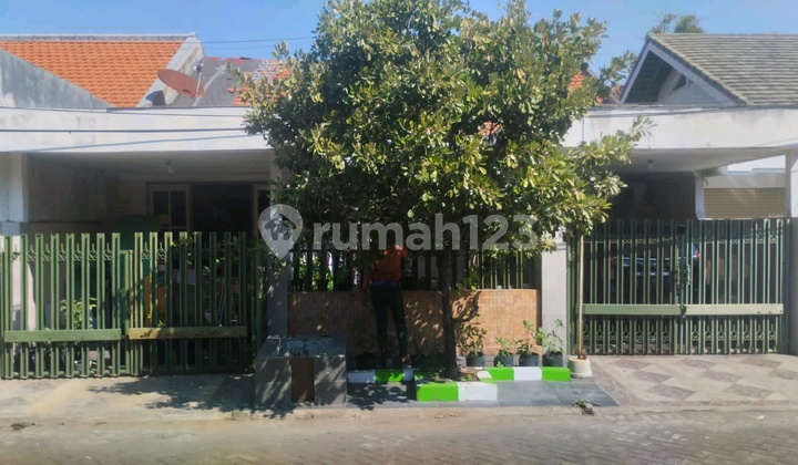 North Tenggilis Wide Row House 1