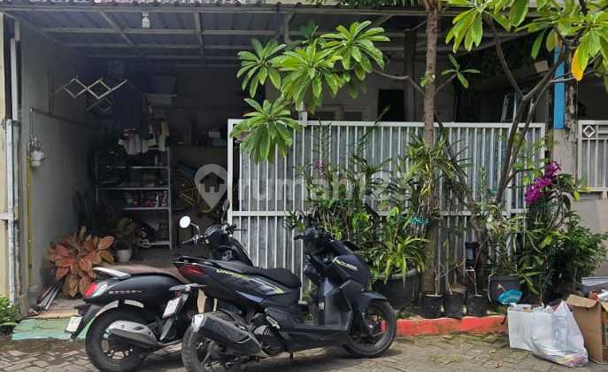 RUMAH MURAH DI GRIYA AMERTA REGENCY MEDOKAN AYU  2