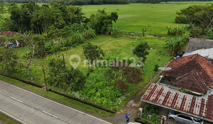Strategic Land for Sale in Sobang, Banten