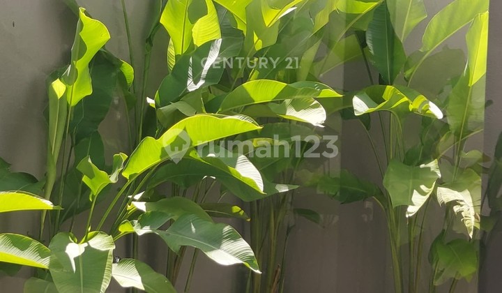 For Sale New Nice House Karawaci Cluster Taman Mediterania 2