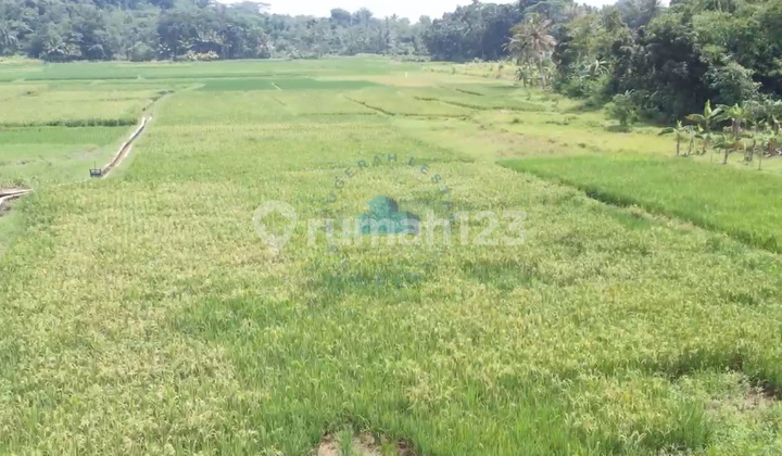 Jual Tanah Murah Dekat Exit Tol Tunjung Teja Serang Jual Tanah Murah Dekat Exit Tol Tunjung Teja Serang