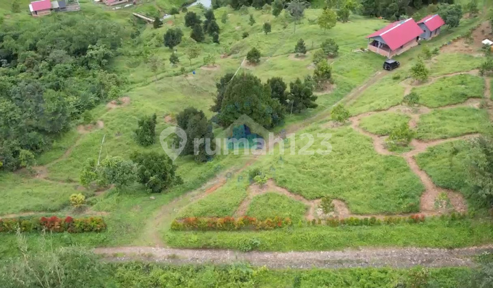 Jual Tanah Perkebunan Murah Di Wirajaya Jasinga Bogor Jual Tanah Perkebunan Murah Di Wirajaya Jasinga Bogor