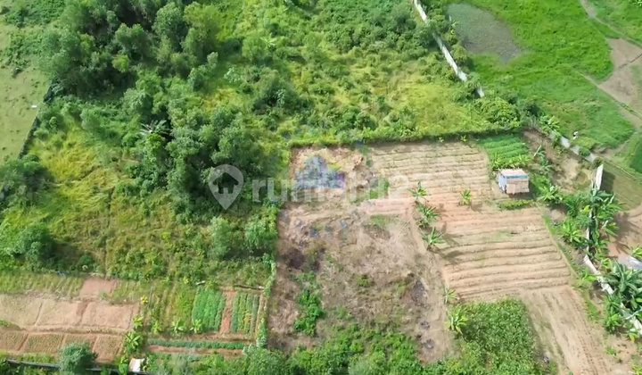 Selling Cheap Industrial Zone Land in Cemplang Jawilan Serang Selling Cheap Industrial Zone Land in Cemplang Jawilan Serang