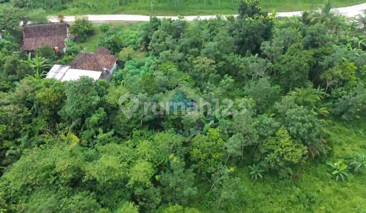 Sell Industrial Land on Jl Raya Sampay Cileles Lebak Banten